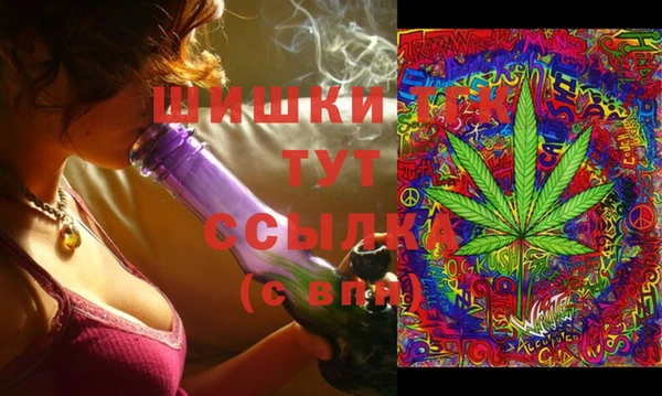молекула духа Бугульма
