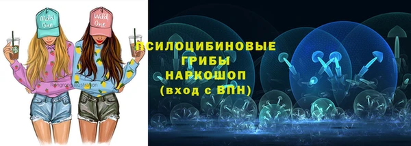 молекула духа Бугульма