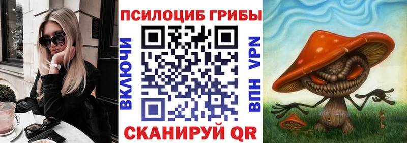 Купить  Тихорецк  Псилоцибиновые грибы прущие грибы 